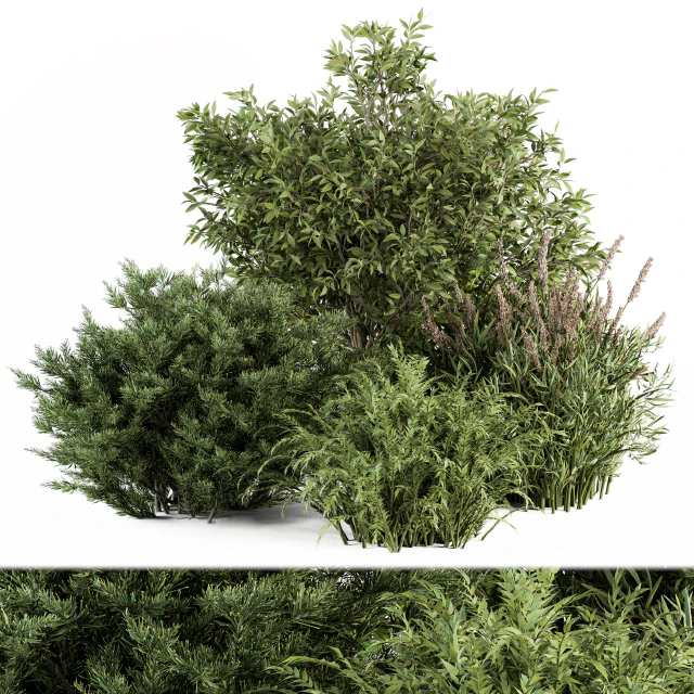 Mixed Plant Bush - Bush Set 37 — Скачать