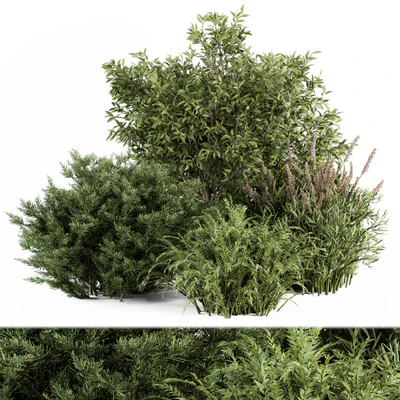 Mixed Plant Bush - Bush Set 37 — Вид 1
