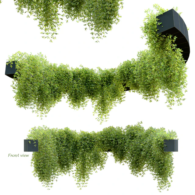 Circular shaped ivy — Descargar
