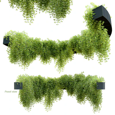 Circular shaped ivy — Ver 4