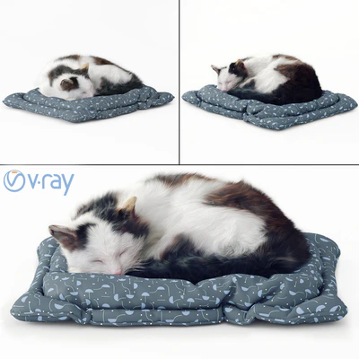 Fluffy cat — Ver 1