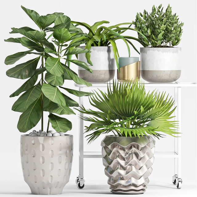 PLANT SET -59 — Descargar
