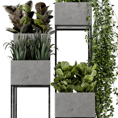 Indoor Plants in rusty Concrete Pot on Metal Shelf - Set 221 — Ver 7
