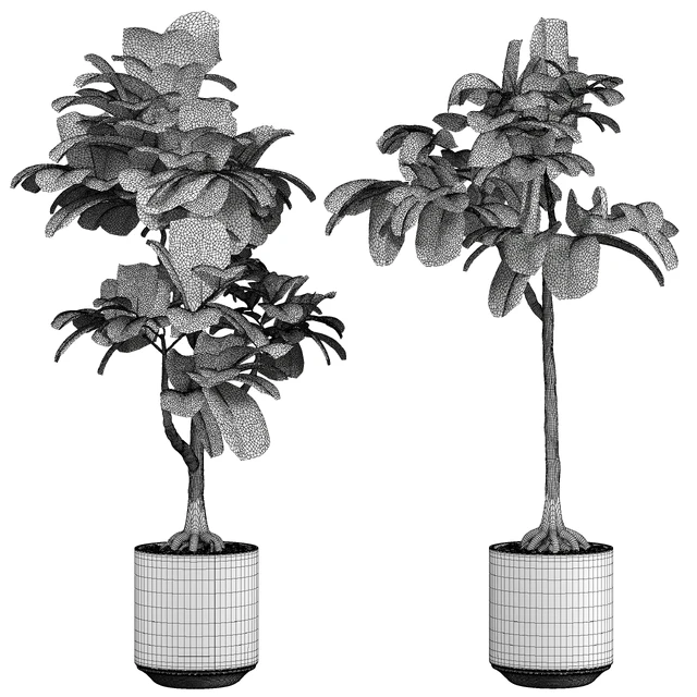 indoor Plant 295 — Descargar
