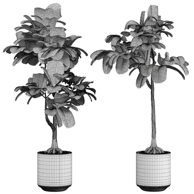 indoor Plant 295 — Ver 4