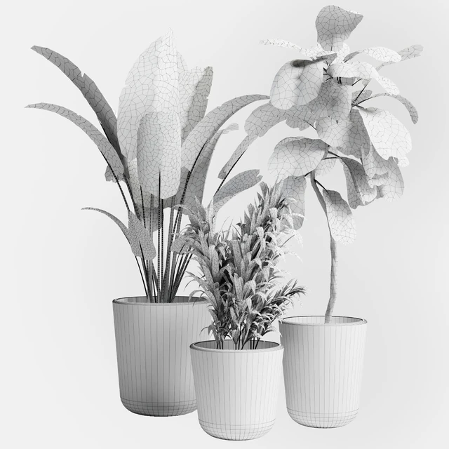 Indoor plant 21 — Скачать