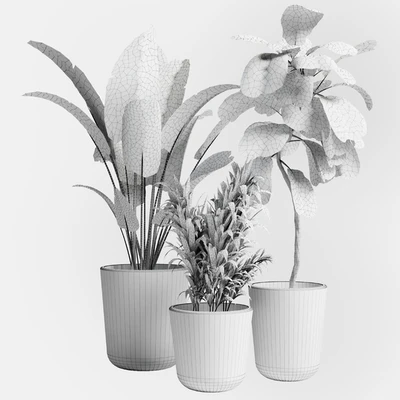 Indoor plant 21 — Вид 4