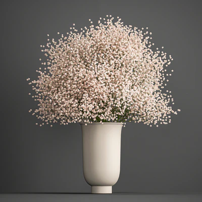 Bouquet of white flowers in a vase with Gypsophila, Gibsolyubka, Kachim. 201. — Ver 1