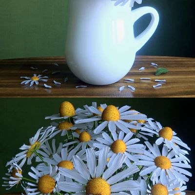 Bouquet of daisies — Ver 3