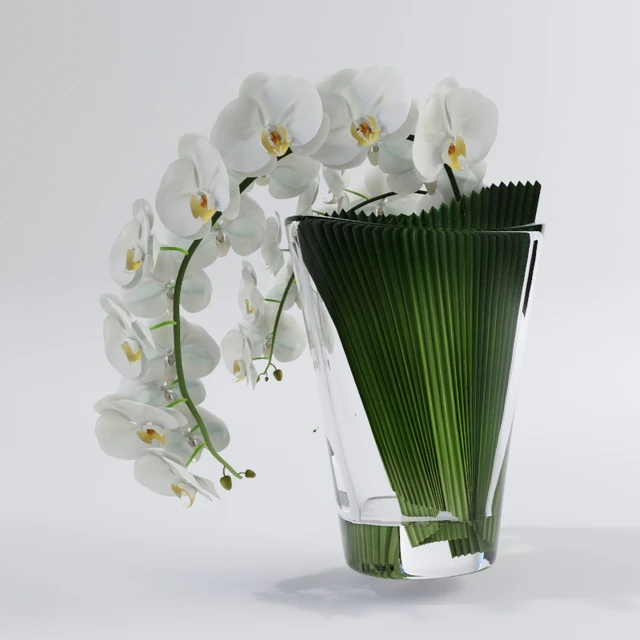 Orchid VG — Descargar
