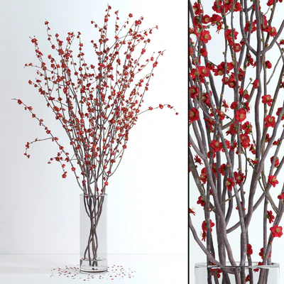 Prunus Red Blossom — Вид 1