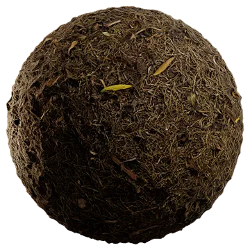 dried grass 013 — Скачать