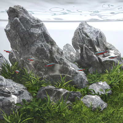 Aquascape aquarium Iwagumi — Вид 7