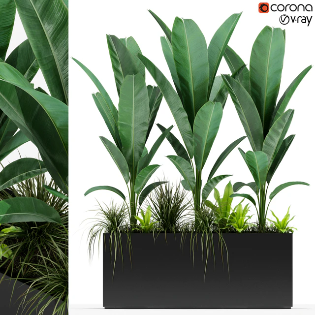 Plants collection 150 — Скачать