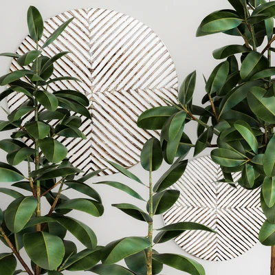 The collection of plants in pots 22. Ficus, pot, flowerpot, interior tree, decor, panel, Scandinavian, African, ficus abidjan — Ver 4