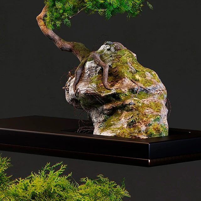 Bonsai — Descargar