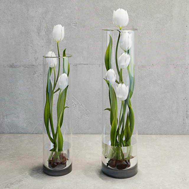 Tulips — Descargar