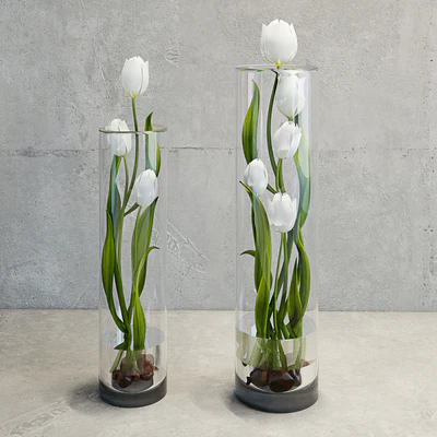 Tulips — Ver 1