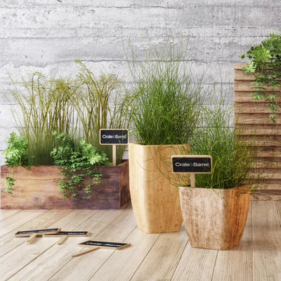 Crate & Barrel planter set — Вид 3