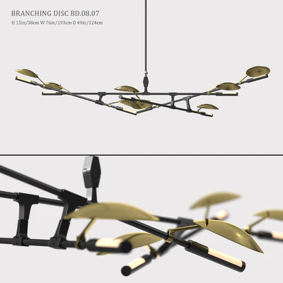 BRANCHING DISC BD.08.07 — Вид 1