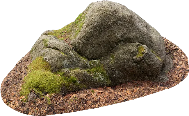 mossy forest boulder 020 — Descargar
