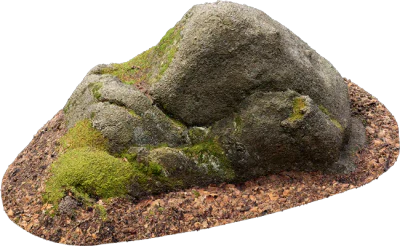 mossy forest boulder 020 — Descargar