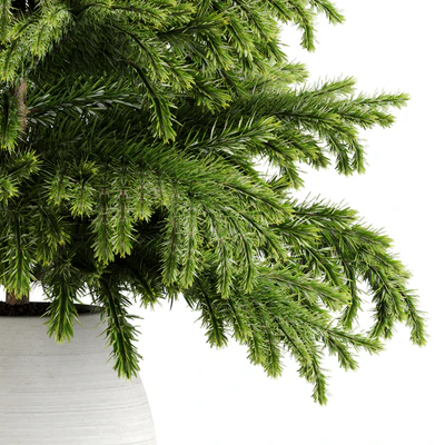 indoor plant Set 18 — Вид 7