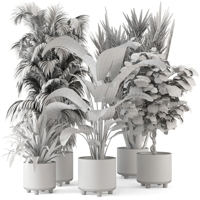 Indoor Planters in Cecilia Ficonstone Pot - Set 349 — Скачать