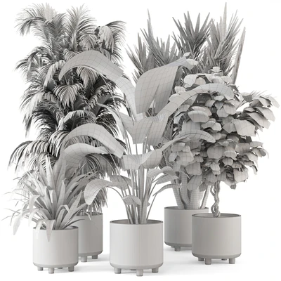 Indoor Planters in Cecilia Ficonstone Pot - Set 349 — Вид 7