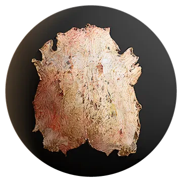 cow skin 001 — Descargar