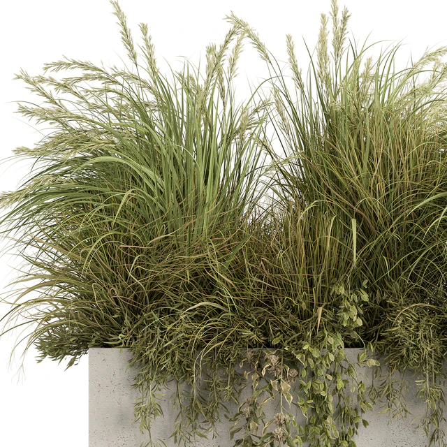 Plant Box - Outdoor Plants 480 — Descargar