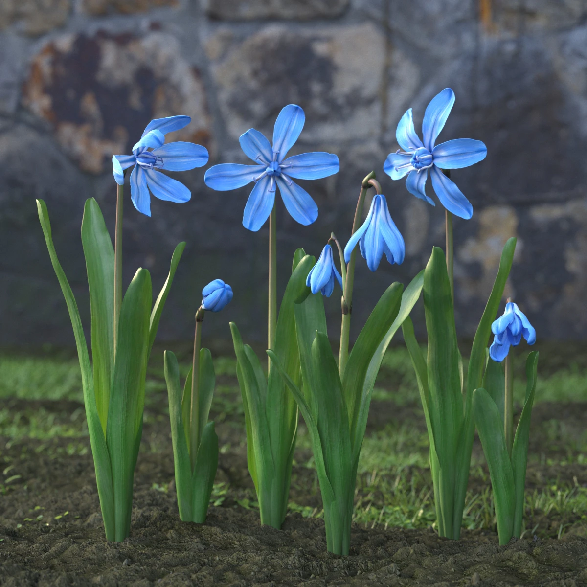 garden flowers 029 — Descargar