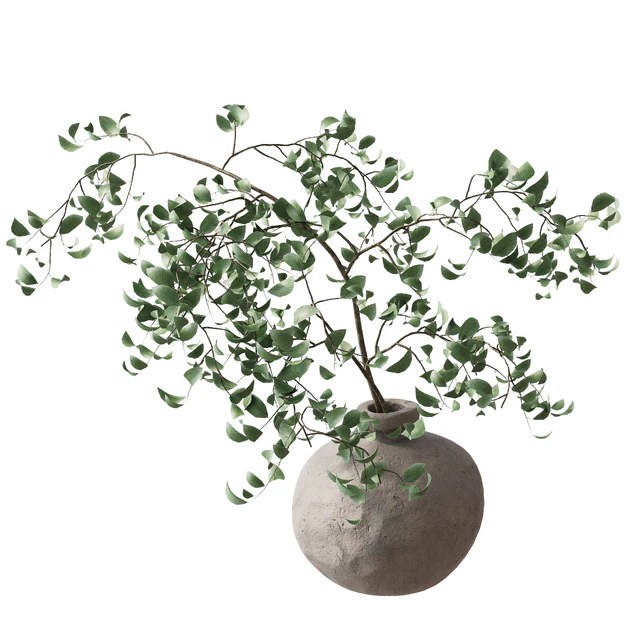 branches in a vase — Descargar