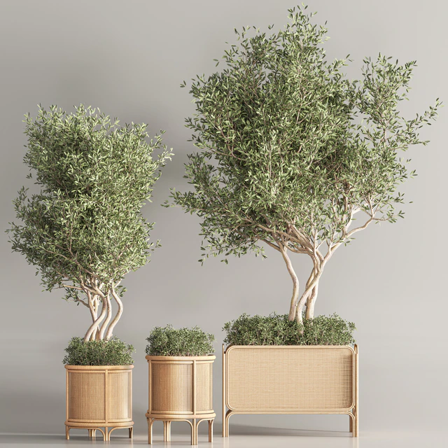 Indoor Plant Set 40 — Скачать