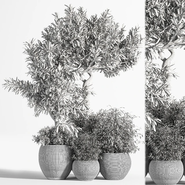 Indoor Plant Set 12 — Скачать
