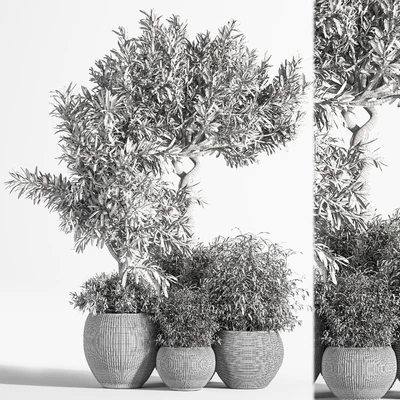 Indoor Plant Set 12 — Вид 6