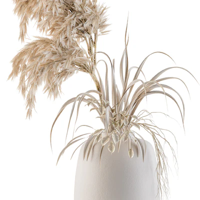 Dry plants 21 — Вид 4