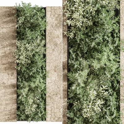 Concrete and Vertical Garden 02 — Вид 6