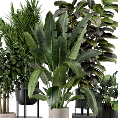 Indoor Plants in Ferm Living Bau Pot Large - Set 879 — Ver 7