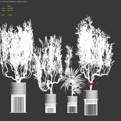 Flower Pack 164 — Вид 3