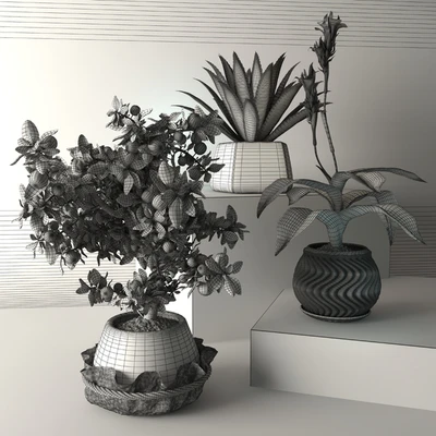 Tropical plants — Ver 2