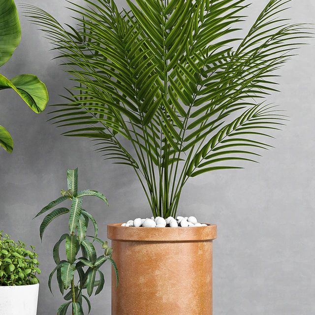 PLANT SET -103 — Скачать