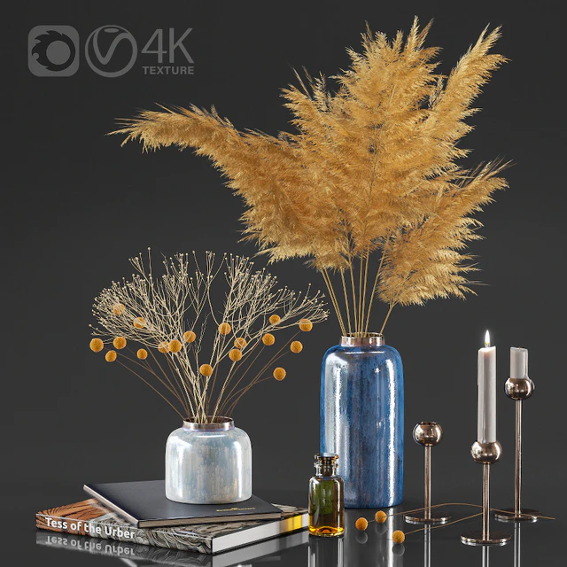 Dry plant decor set — Descargar