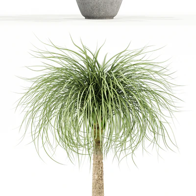 Plants collection 103 — Ver 3