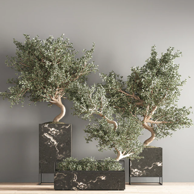 indoor plant set 39 — Descargar