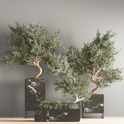 indoor plant set 39 — Ver 7