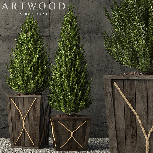 Plants collection 64 — Скачать