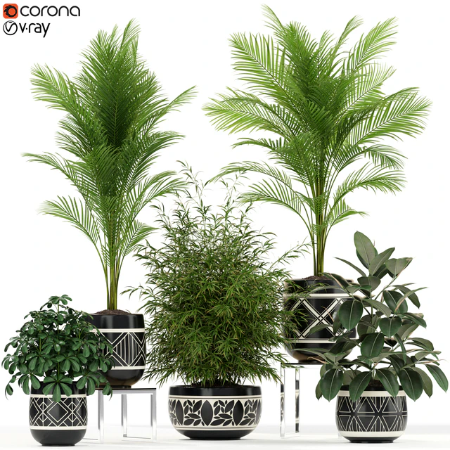 Plants collection 181 — Descargar
