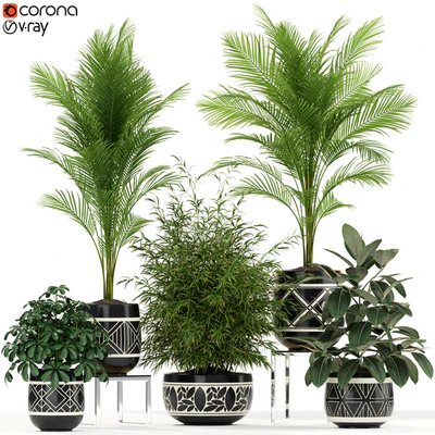 Plants collection 181 — Ver 1