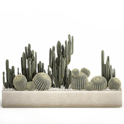 Collection of desert plants in a vase of cacti, cereus and echinocactus, barrel cactus. Set 1097. — Ver 7